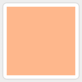 Back to School Solid Color: Pastel Coral Sticker